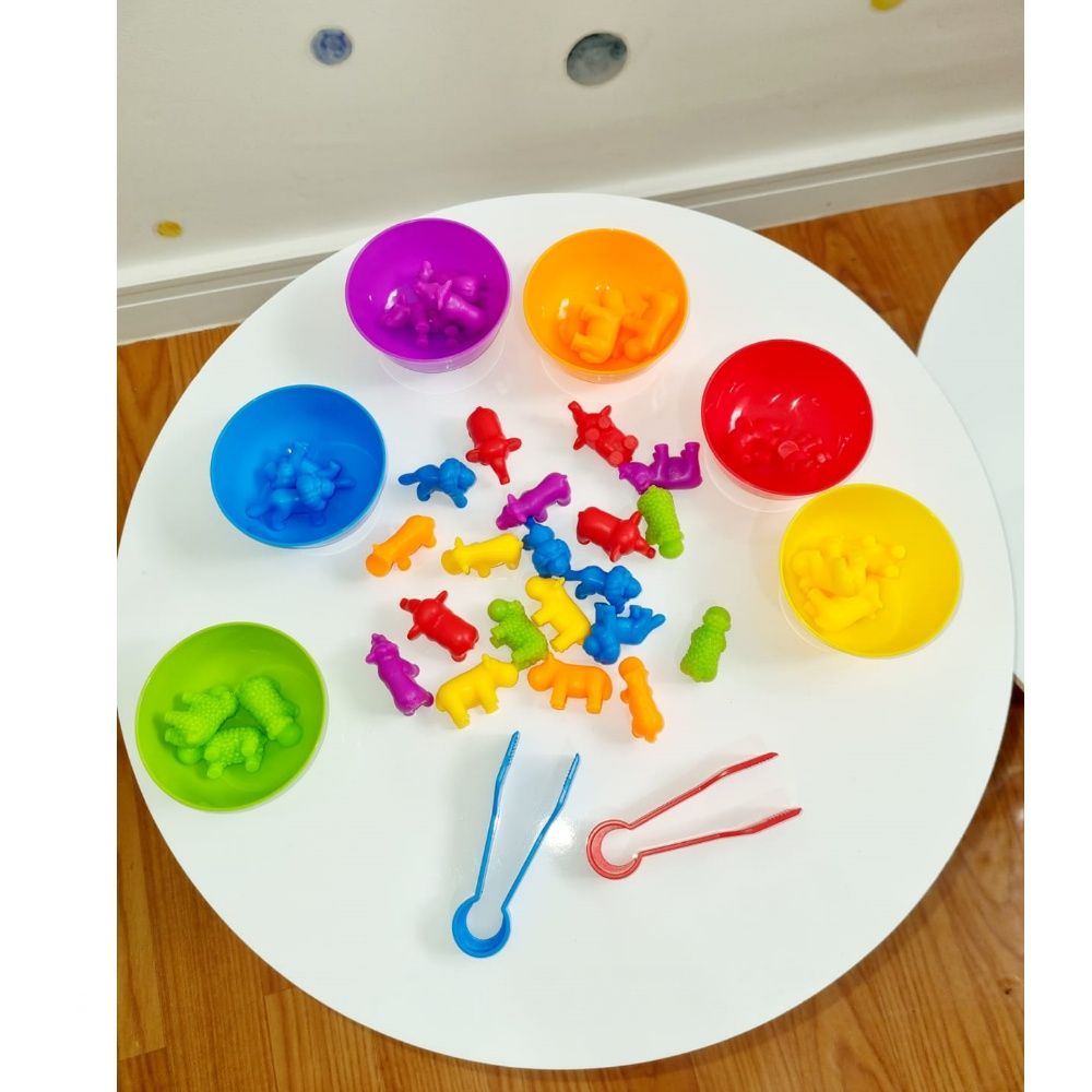 Classificação de Cores Animais Kit -  Sensorial